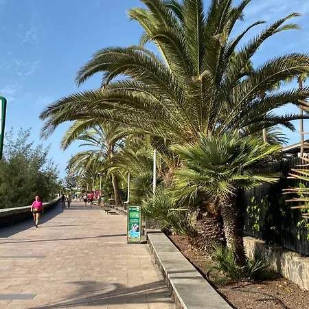 Magui´s Place * 普拉亚戴尔雷安格莱斯